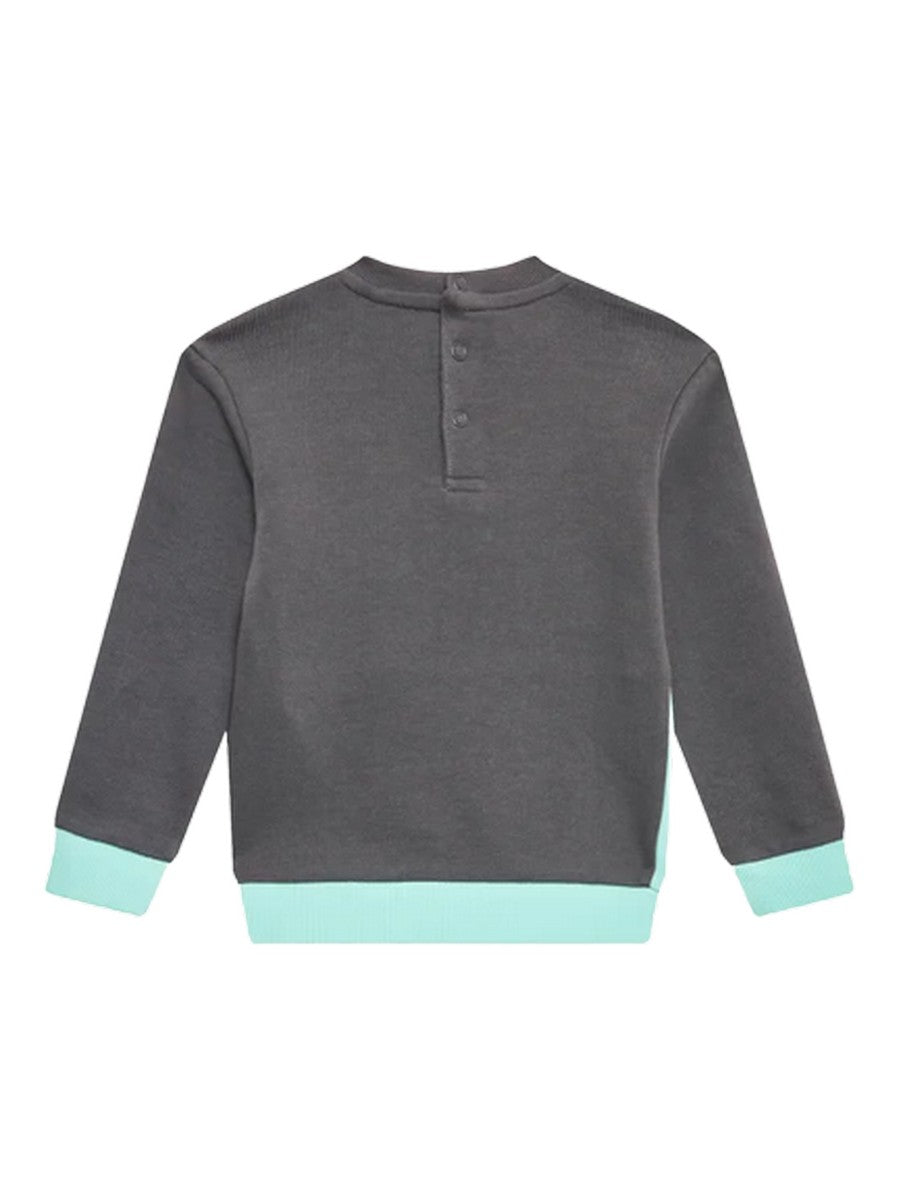 Grigio