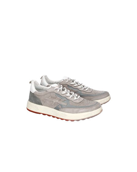 Grigio