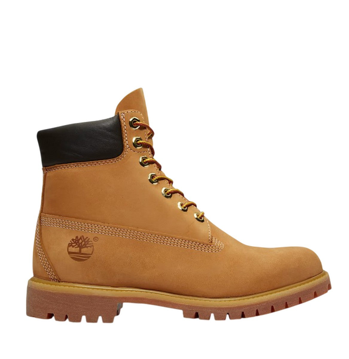 TIMBERLAND Stivali TB110061