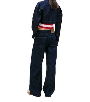 TOMMY JEANS Jeans DW0DW22404