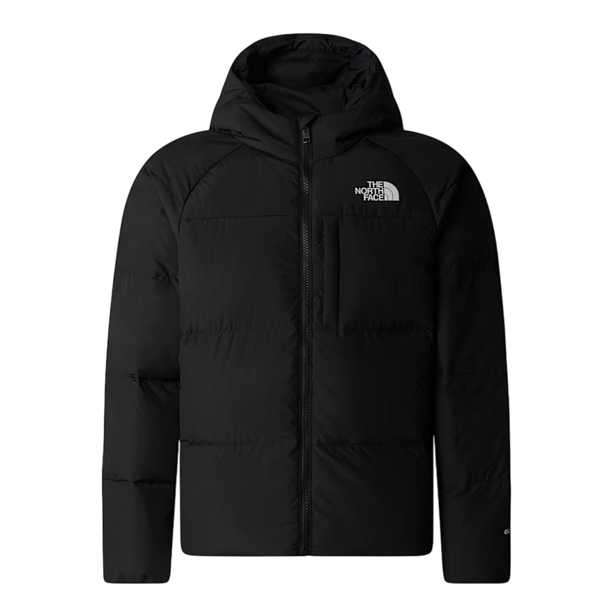 THE NORTH FACE Giubbotto NF0A88TX