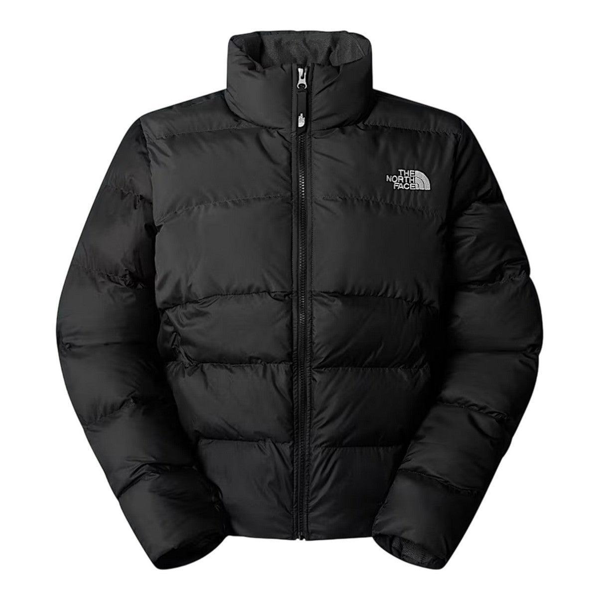 THE NORTH FACE Giubbotto NF0A89JD