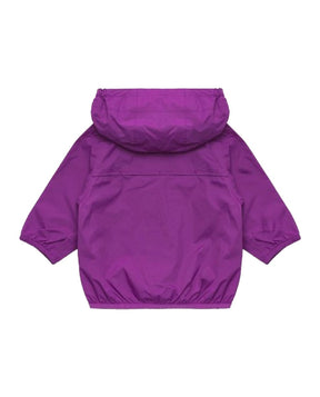 Viola