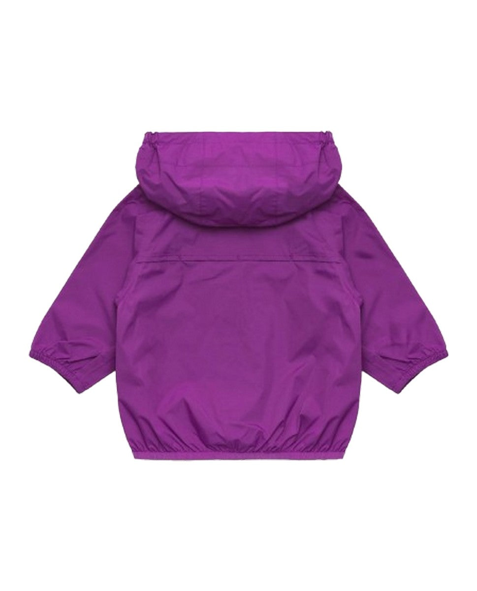 Viola