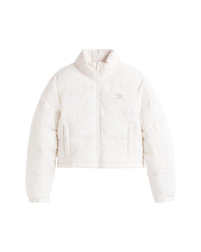 TOMMY JEANS Giubbotto DW0DW21620